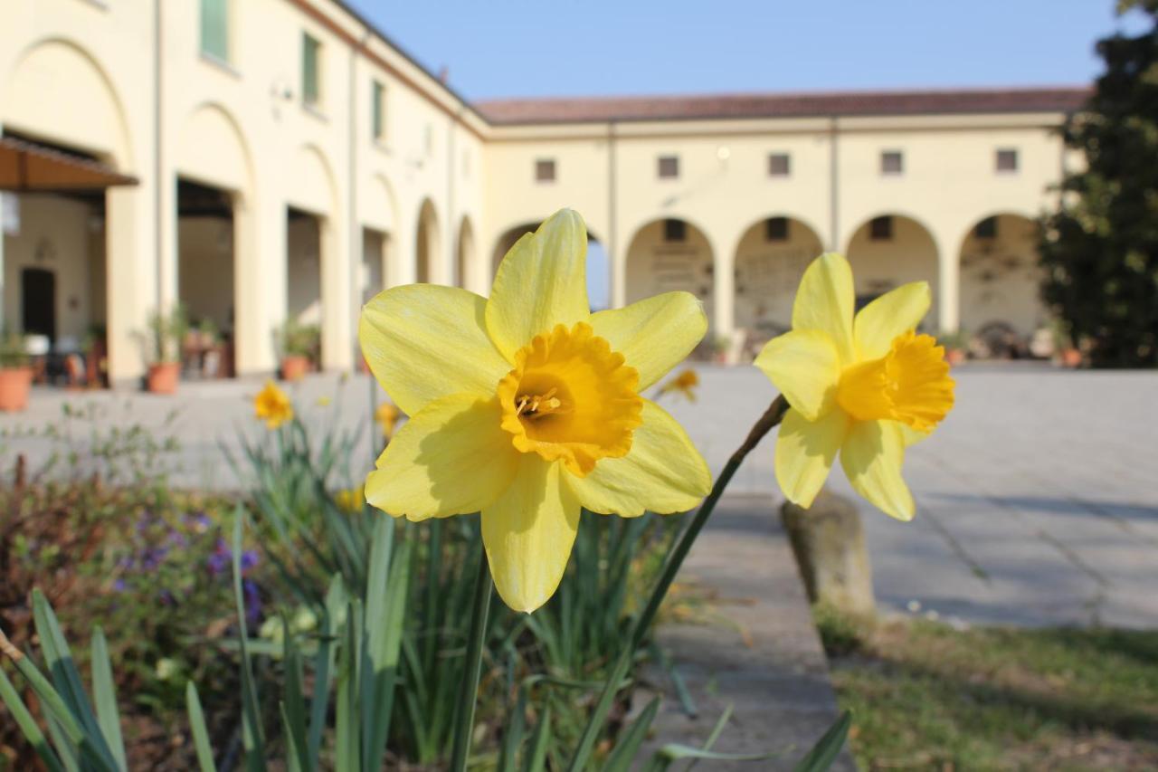 Agriturismo Corte Carezzabella San Martino di Venezze Exteriér fotografie