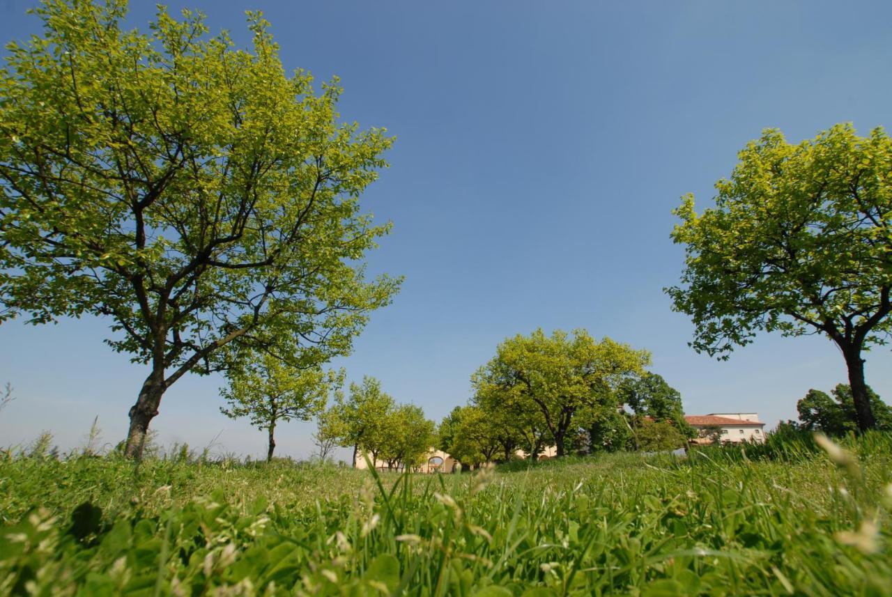 Agriturismo Corte Carezzabella San Martino di Venezze Exteriér fotografie